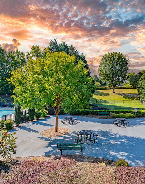 Grilling at Highland Ridge