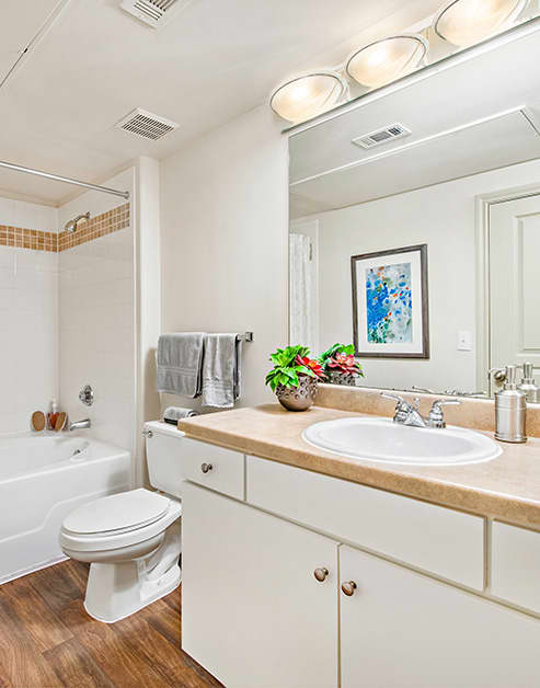 Bathroom at MAA Fall Creek luxury apartment homes in Houston, TX