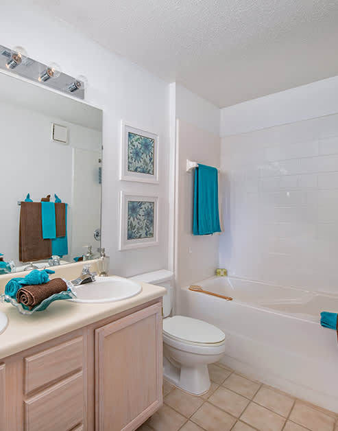 Bathroom at MAA Edgewater luxury apartment homes in Huntsville, AL
