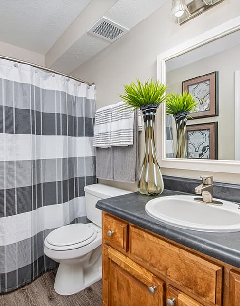 Bathroom at MAA Brentwood