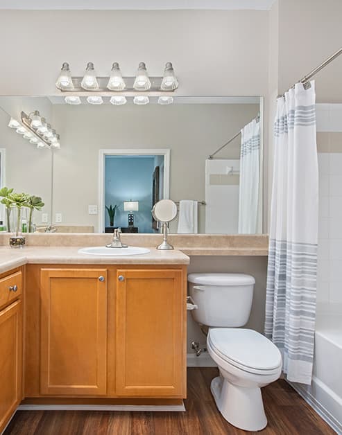 Bathroom at MAA Preserve luxury apartment homes in Raleigh, NC