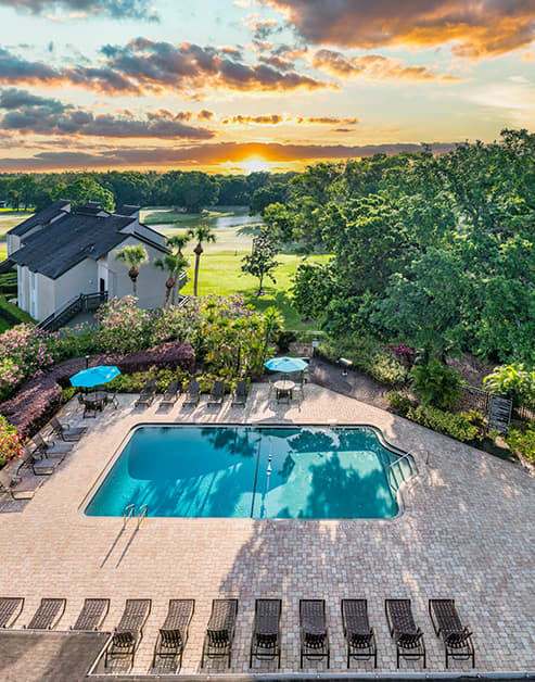 Pool at MAA Carrollwood