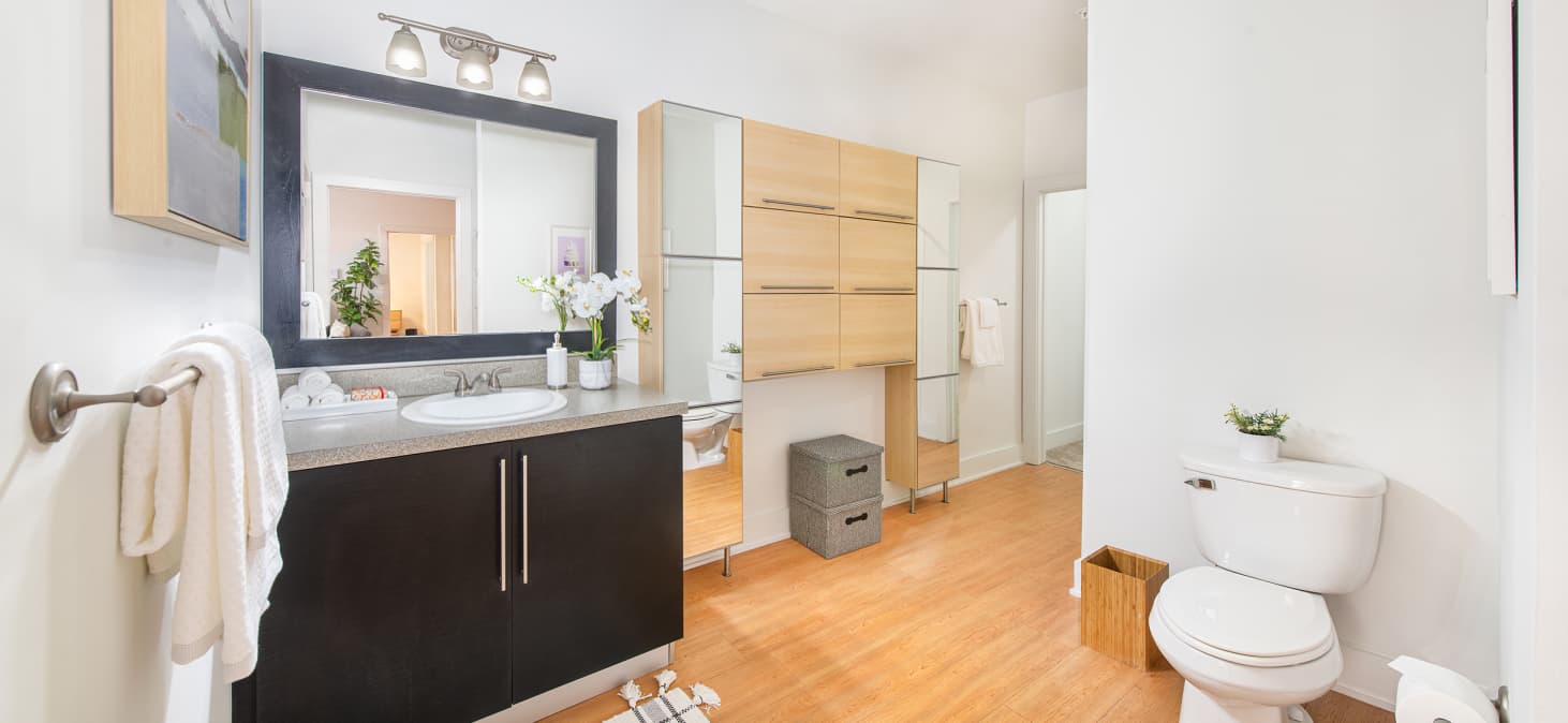 Bathroom at MAA South Line luxury apartment homes in Charlotte, NC