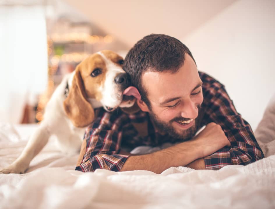 dog licking mans face