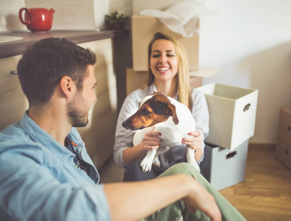 dog with couple while moving in