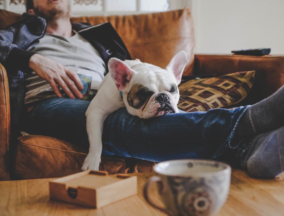 Napping with pup