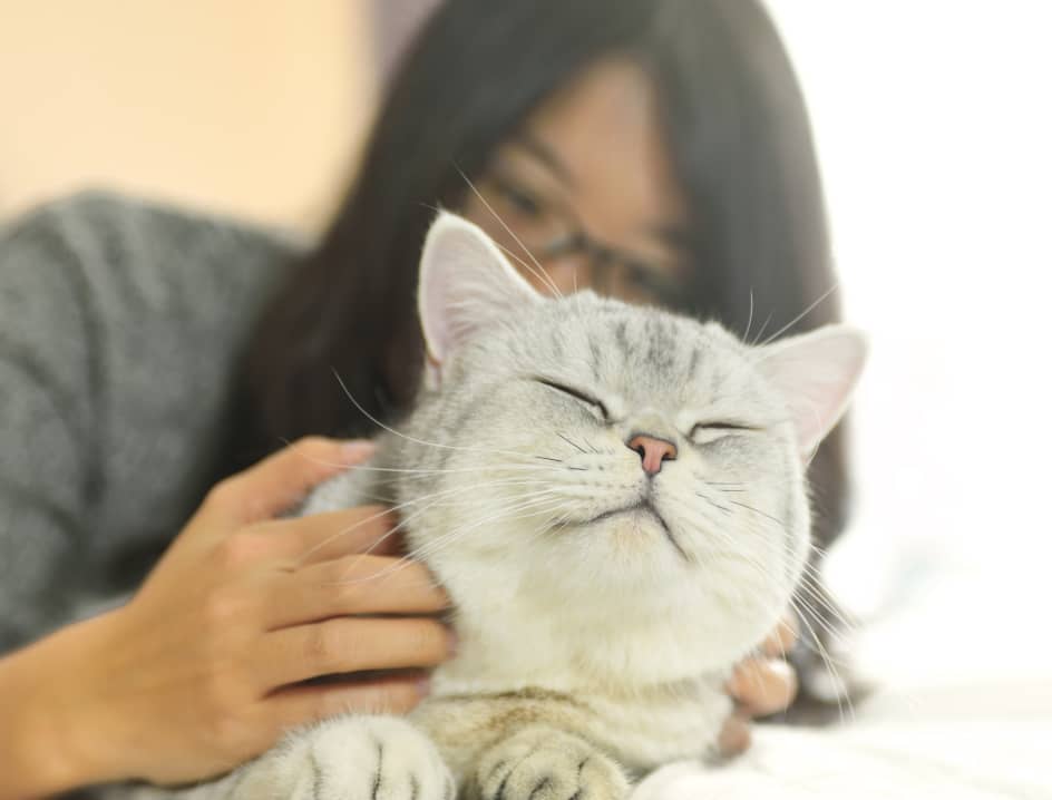 Woman pets cat