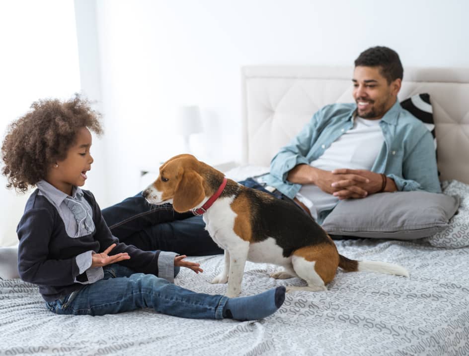 Man, child, and dog sit on the bed