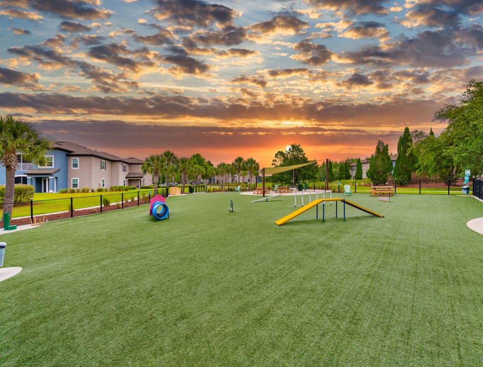 Dog Park at MAA Hampton Preserve in Tampa, FL