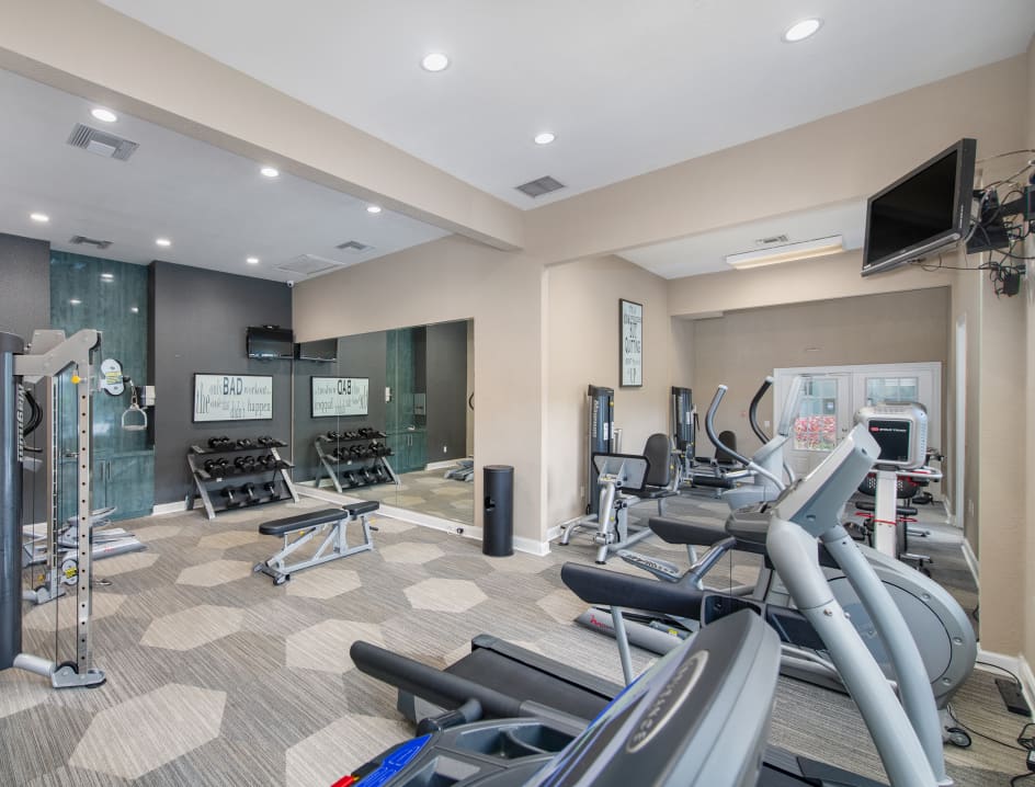 Fitness Center at MAA Palm Harbor in Tampa, FL