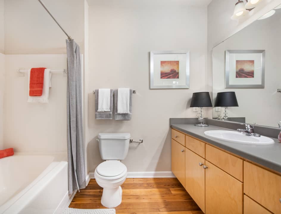 Bathroom at MAA Point Place in Greenville, SC