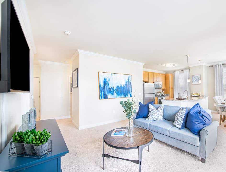 Living room at The Apartments at Cobblestone Square in Fredericksburg, VA
