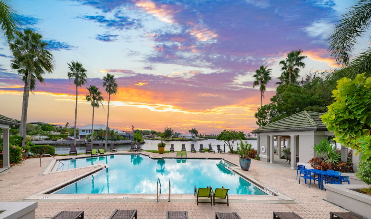 Pool at MAA Rocky Point luxury apartment homes in Tampa, FL