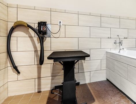 Pet Park at Avala at Savannah Quarters luxury apartment homes in Savannah, GA