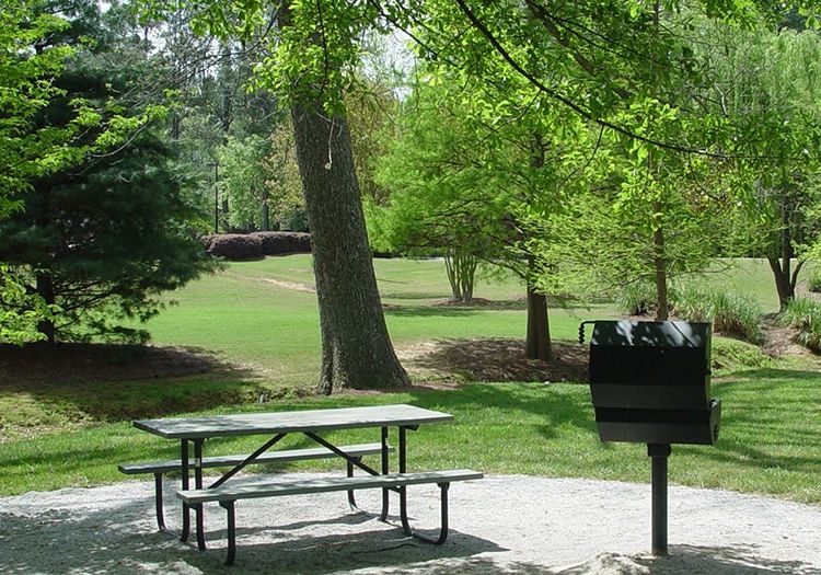 Picnic Area 1 at Spring Creek luxury apartment homes in Greenville, SC