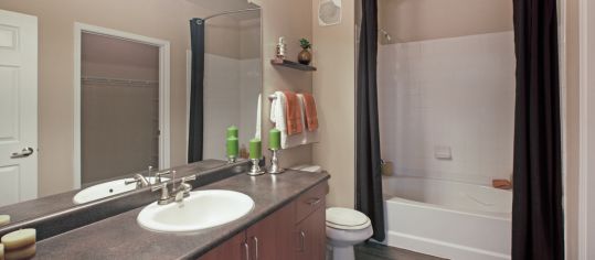 Bathroom  at Sky View Ranch luxury apartment homes in Phoeniz, AZ