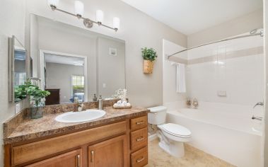Model Bathroom at Colonial Grand at Traditions in Mobile, AL