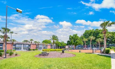 Grilling area at MAA Tiffany Oaks luxury apartment homes in Orlando , FL