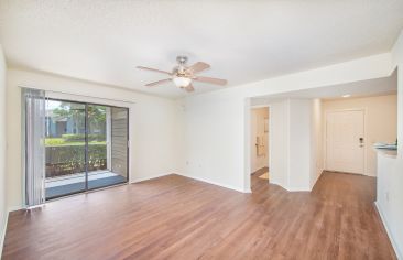 Living room at MAA Indio Point luxury apartments homes in Brandon, FL