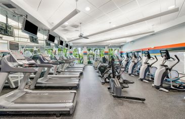 Fitness center at MAA Rocky Point luxury apartment homes in Tampa, FL