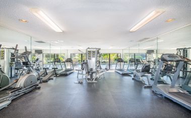 Fitness Center at The Links at Carrollwood luxury apartment homes in Tampa, FL