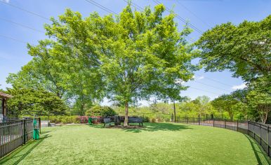 Dog Park at MAA Brookwood luxury apartment homes in Atlanta, GA