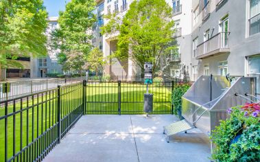 Pet spa at MAA Stratford luxury apartment homes in Atlanta, GA