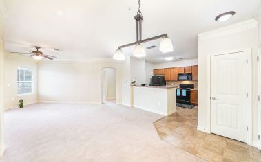 Kitchen and Living area at MAA Avala luxury apartment homes in Savannah, GA