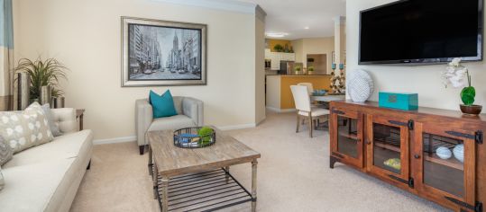 Living Room at MAA at Research Park luxury apartment homes in Durham, NC