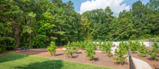 Hammock at MAA Hermitage luxury apartment homes in Raleigh-Cary, NC