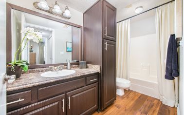 Bathroom at MAA Crowfield luxury apartment homes in Goose Creek, SC