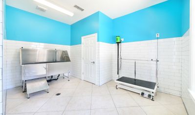 Pet Grooming Spa at MAA Farm Springs luxury apartment homes in Summerville, SC