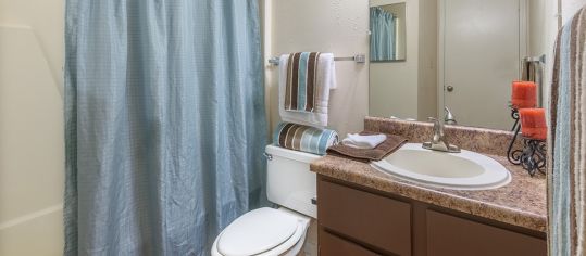 Bathroom 6 at MAA Park Place luxury apartment homes in Greenville, SC