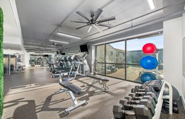 Fitness at MAA Gallery