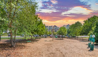 Dog Park at MAA Cobblestone Square in Fredericksburg, VA