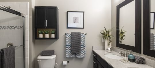 Bathroom at Colonial Reserve at South End luxury apartment homes in Charlotte, NC