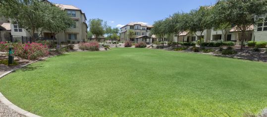 Pet Area  at Edge at Lyons Gate luxury apartment homes in Phoenix, AZ