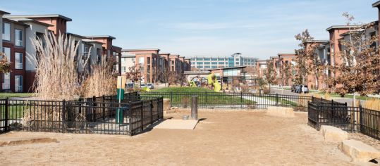 Dog park at Sync36 luxury apartment homes in Westminster, CO