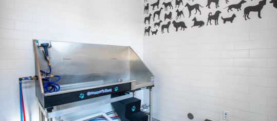 Dog wash at Sync36 luxury apartment homes in Westminster, CO