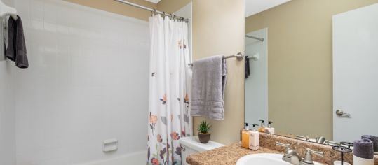 Model Master Bathroom at Cooper's Hawk luxury apartment homes in Jacksonville, FL