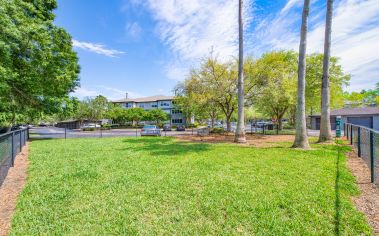 Dog Park at The Paddock Club Mandarin luxury apartment homes in Jacksonville, FL