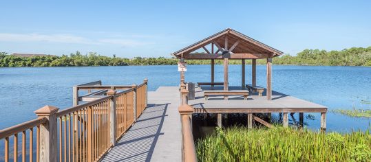 Lake at MAA Crosswater luxury apartment homes in Orlando, FL