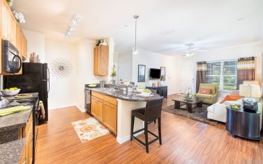 Living room at MAA Lake Mary luxury apartment homes in Orlando, FL