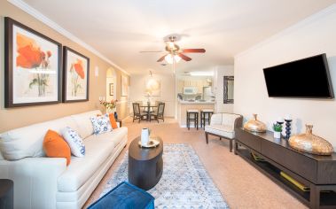 Living Room at MAA Town Park luxury apartment homes in Lake Mary, FL