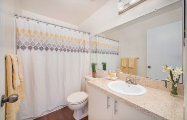 Bathroom at MAA Indio Point luxury apartments homes in Brandon, FL