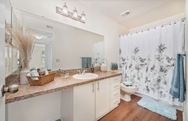 Bathroom at MAA Indio Point luxury apartments homes in Brandon, FL