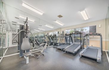 Fitness center at MAA Indio Point luxury apartments homes in Brandon, FL