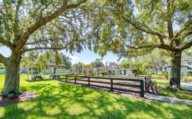 Playground Area at MAA Brandon in Tampa, FL