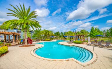 Pool View at MAA Hampton Preserve in Tampa, FL