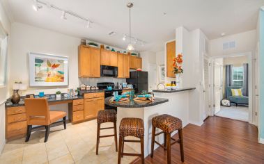 Kitchen at MAA Hampton Preserve in Tampa, FL